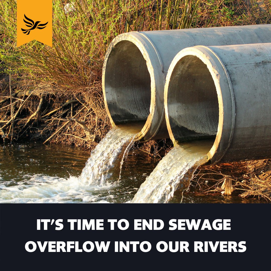 Tomorrow MPs will vote on the #EnvironmentBill and with amendments that will decide whether water companies can continue to allow raw sewage to flow into our rivers. Will #Guildford and #Cranleigh's MP vote to protect the River Wey? More from me here: bit.ly/EndSewageOverf…