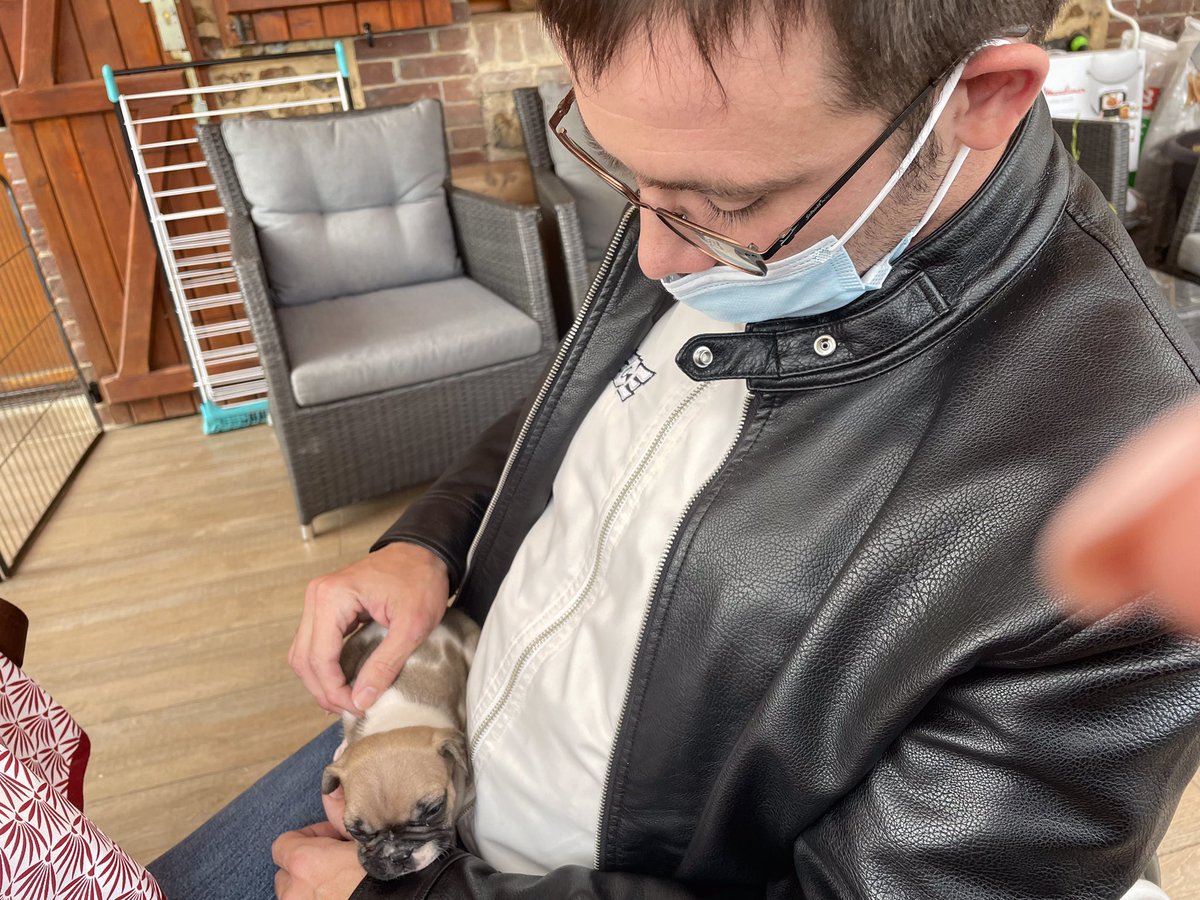 seb_roulette's tweet photo. Une nouvelle aventure pour moi commence dans un mois avec cette crapule 🦮👨🏻‍🦽 https://t.co/qKuRKtOZAB