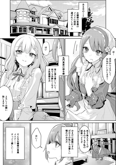 お嬢様とメイドさん(*'-`) 