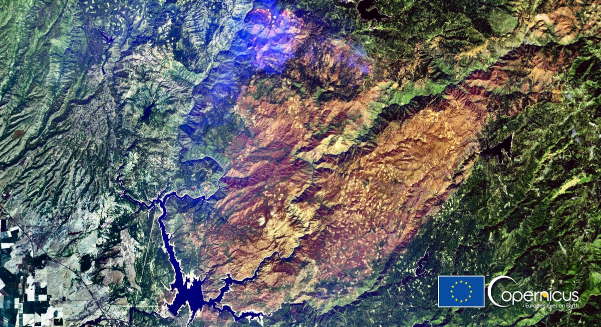 defis_eu's tweet photo. #EUSpace for #ClimateChange awareness
The age of #megafires has begun
4️⃣ of the 3️⃣8️⃣ biggest #wildfires in the history of western United States🇺🇸 happened in 2020
#Copernicus 🇪🇺🛰️images of
↖️#CreekFire ↗️#SQFLightningComplex
↙️#NorthComplexFire ↘️#AugustComplexFire
#EUatCOP26 https://t.co/FHNl9BWZOA