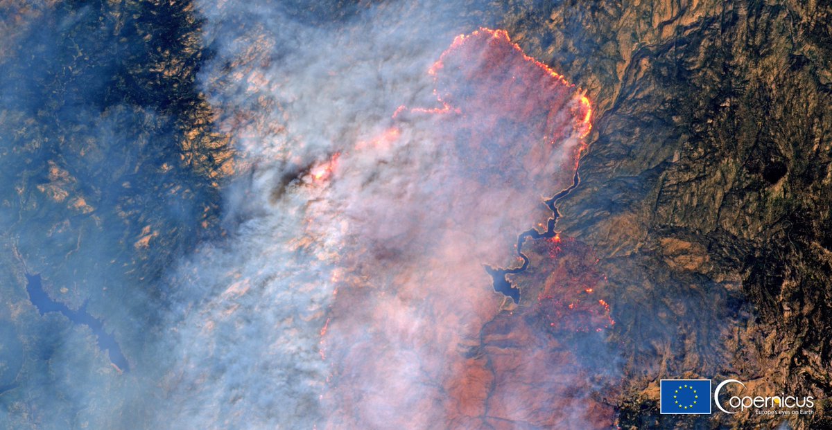 defis_eu's tweet photo. #EUSpace for #ClimateChange awareness
The age of #megafires has begun
4️⃣ of the 3️⃣8️⃣ biggest #wildfires in the history of western United States🇺🇸 happened in 2020
#Copernicus 🇪🇺🛰️images of
↖️#CreekFire ↗️#SQFLightningComplex
↙️#NorthComplexFire ↘️#AugustComplexFire
#EUatCOP26 https://t.co/FHNl9BWZOA