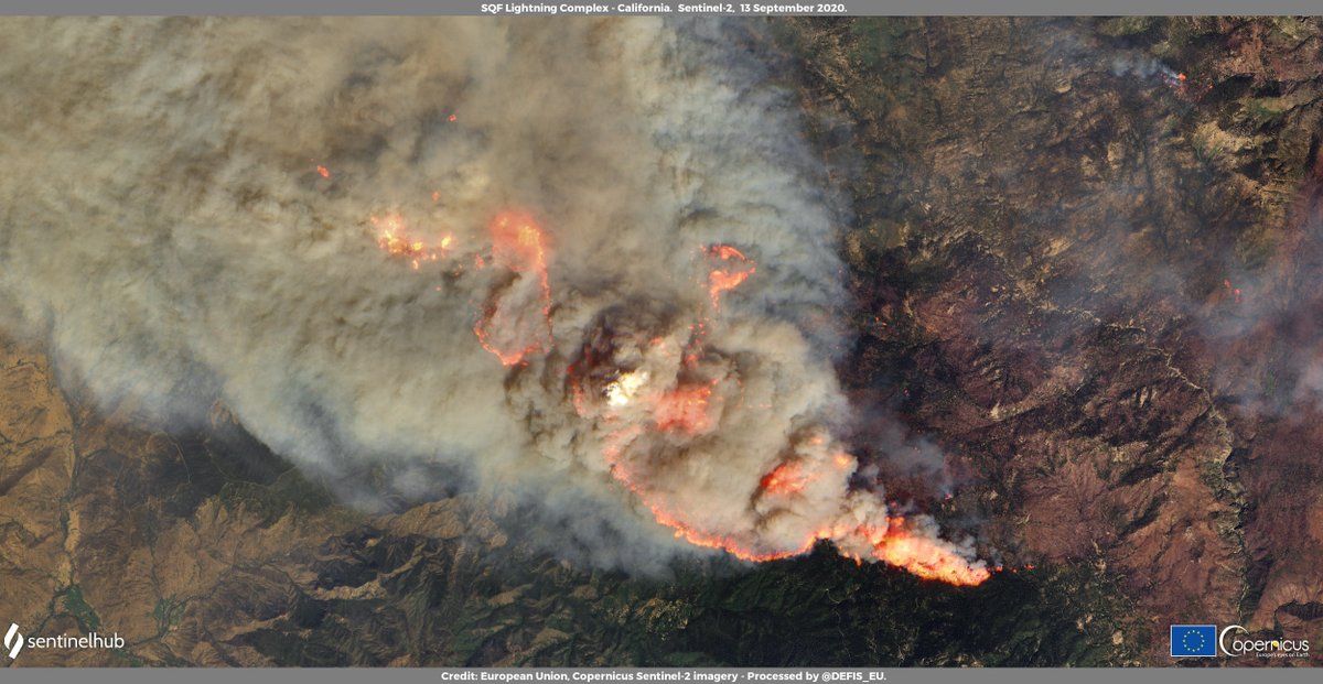 defis_eu's tweet photo. #EUSpace for #ClimateChange awareness
The age of #megafires has begun
4️⃣ of the 3️⃣8️⃣ biggest #wildfires in the history of western United States🇺🇸 happened in 2020
#Copernicus 🇪🇺🛰️images of
↖️#CreekFire ↗️#SQFLightningComplex
↙️#NorthComplexFire ↘️#AugustComplexFire
#EUatCOP26 https://t.co/FHNl9BWZOA
