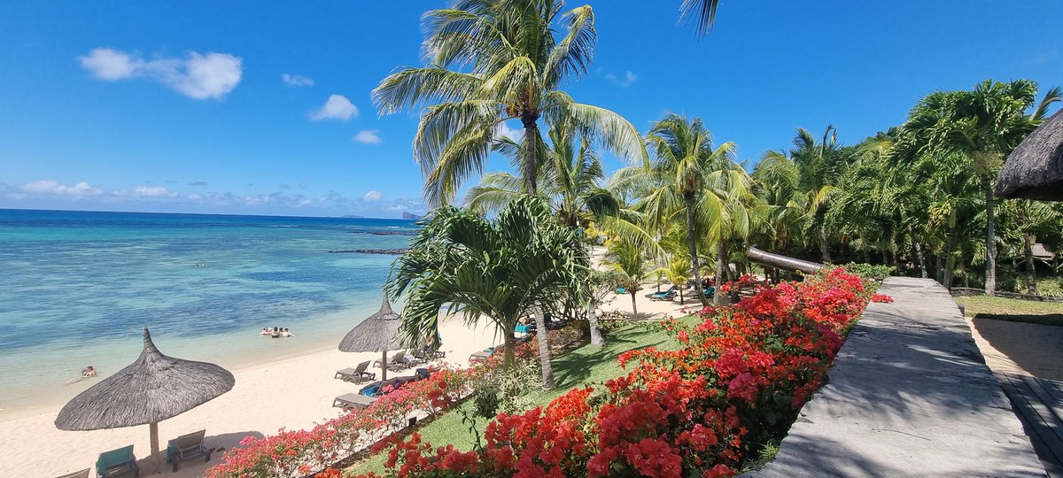 Rob Rob (@robkindl) on Twitter photo 