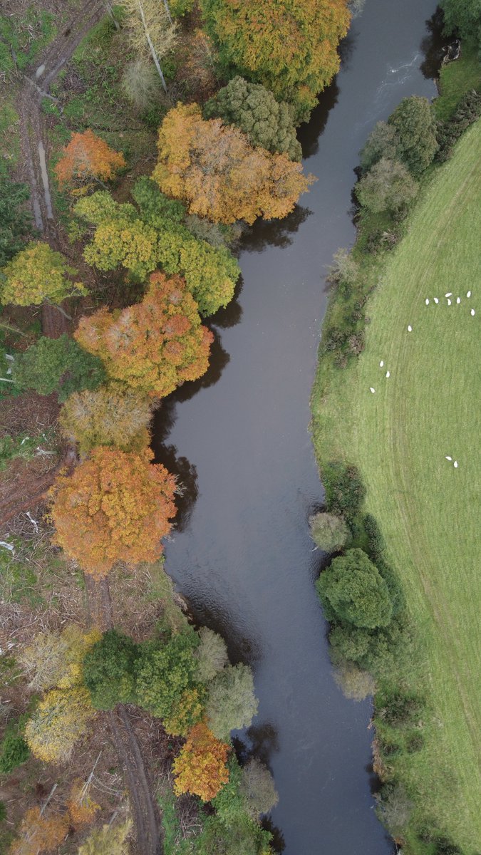✨🍁🍂Autumn colours on the River Till✨🍁🍂
.
.
.
.
#autumn #autumnmood #tiptoebeat