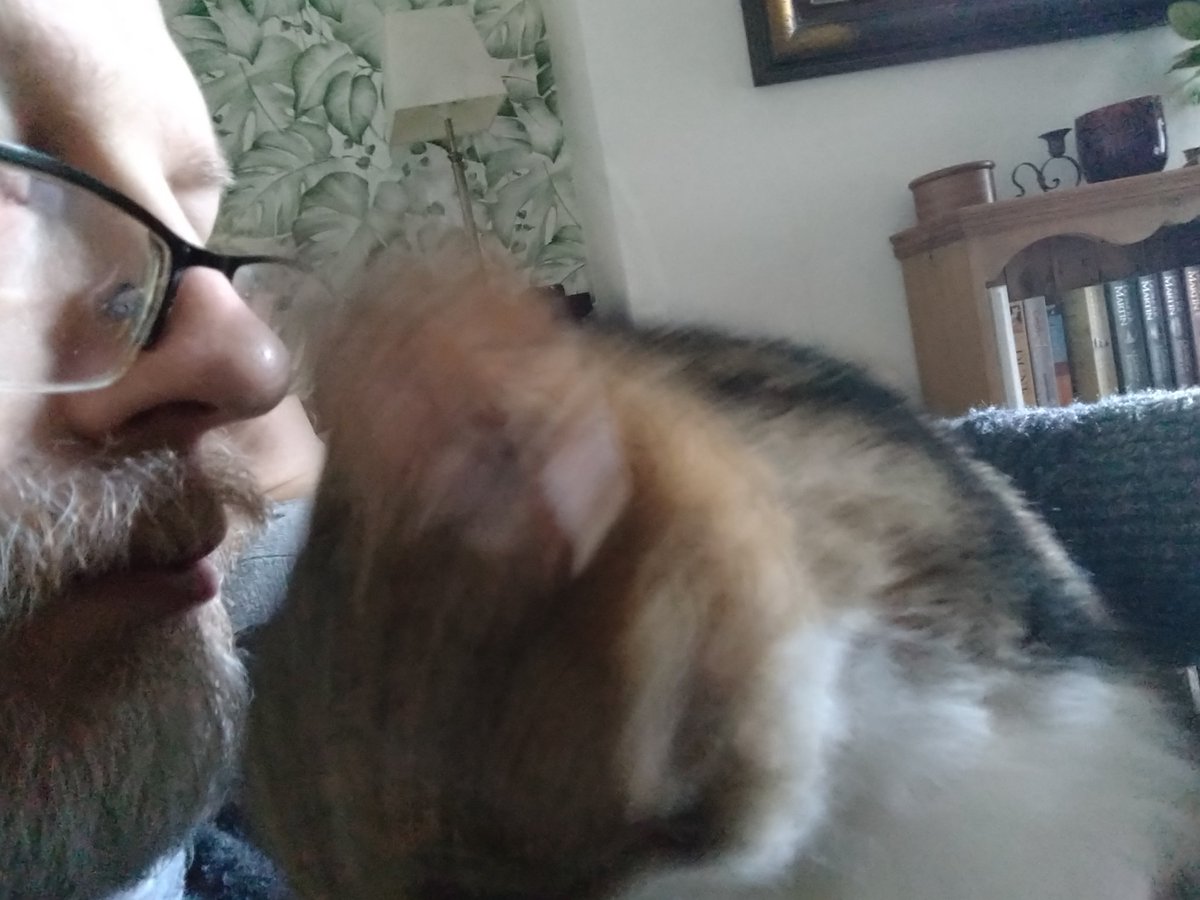 PuzzlerT's tweet photo. Personal space is clearly for other mammals 🙄😁
#midwash #notheadbuttingme https://t.co/pzBJ6NgtXU