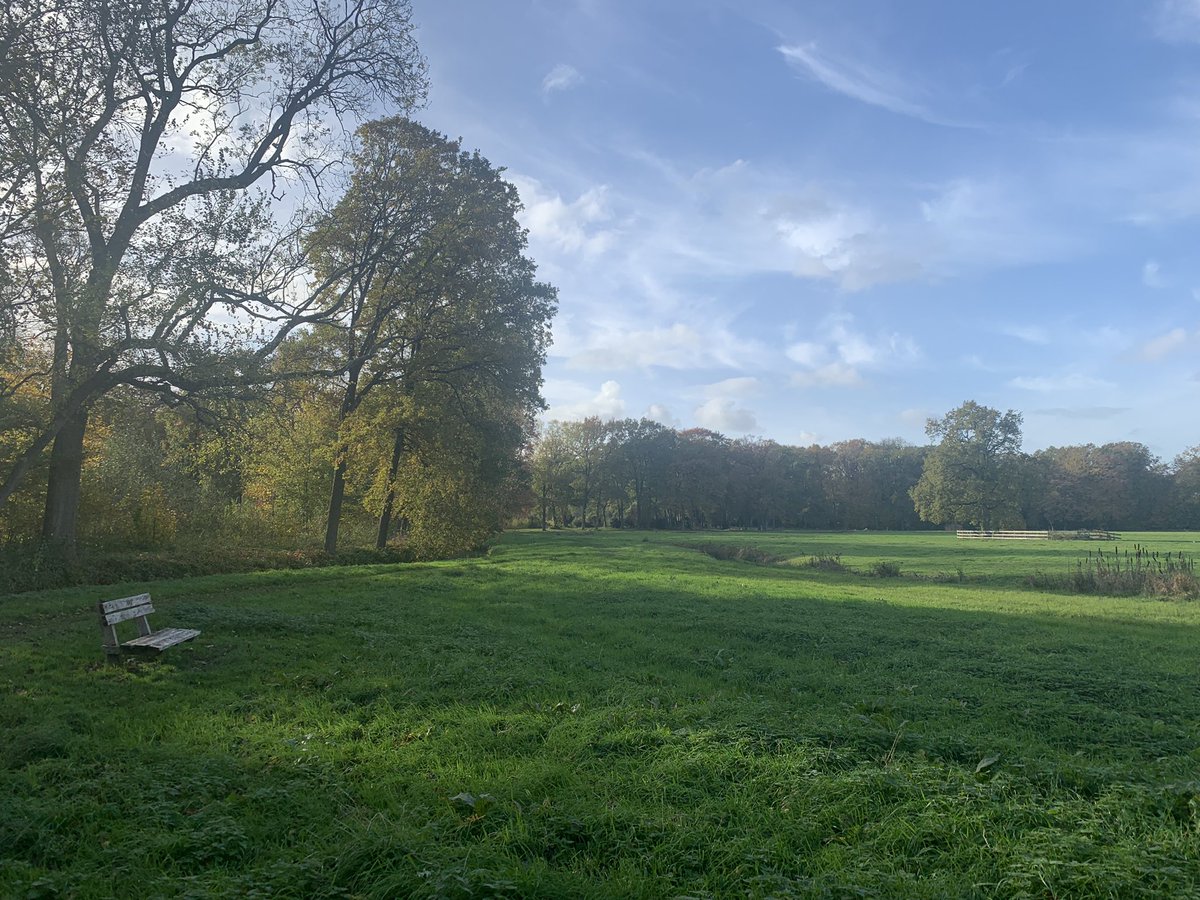Rondje Haarzuilens gelopen, in de ochtend, herfst, zon, moeiteloos. Beter kan niet! <a href="/loopmaatjes/">Loopmaatjes</a>
