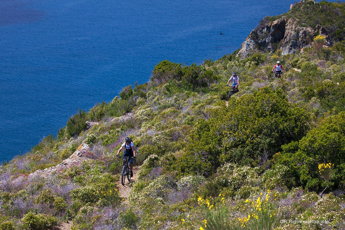All’isola d’Elba esiste un itinerario #bike che parte dall'antico borgo di Rio nell'Elba e arriva al fantastico lungomare di Cavo.
L'itinerario, adatto a tutti, ripercorre alcuni tra i più antichi sentieri della #Toscana: bit.ly/Rio-Elba-Cavo

foto di R.Ridi