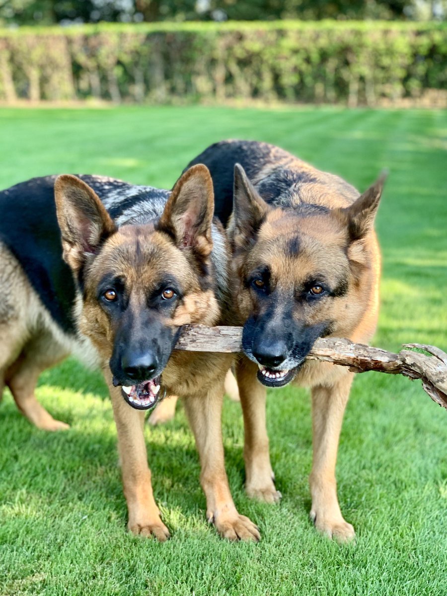 Ank van Lier tweet media