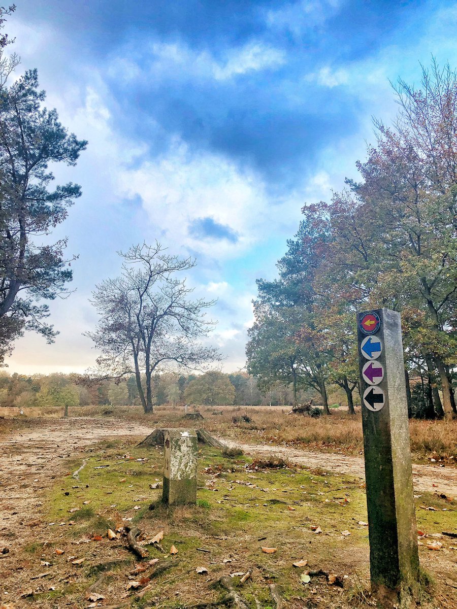 HenkBrandsma1's tweet image. Lekkere ochtendwandeling door #mooigooi onderwijl #podcast @StefanBolt @laurenstendam luisterend met als gast @FlorianVermeers. Mooie aflevering weer mannen!
- - - - - - - - - - - - - - - -
“Live Slow Walk Fast(er) version of #LSRF” (strava.app.link/7Dj2BkQjZkb) 🚶🏼‍♂️#zondag #strava