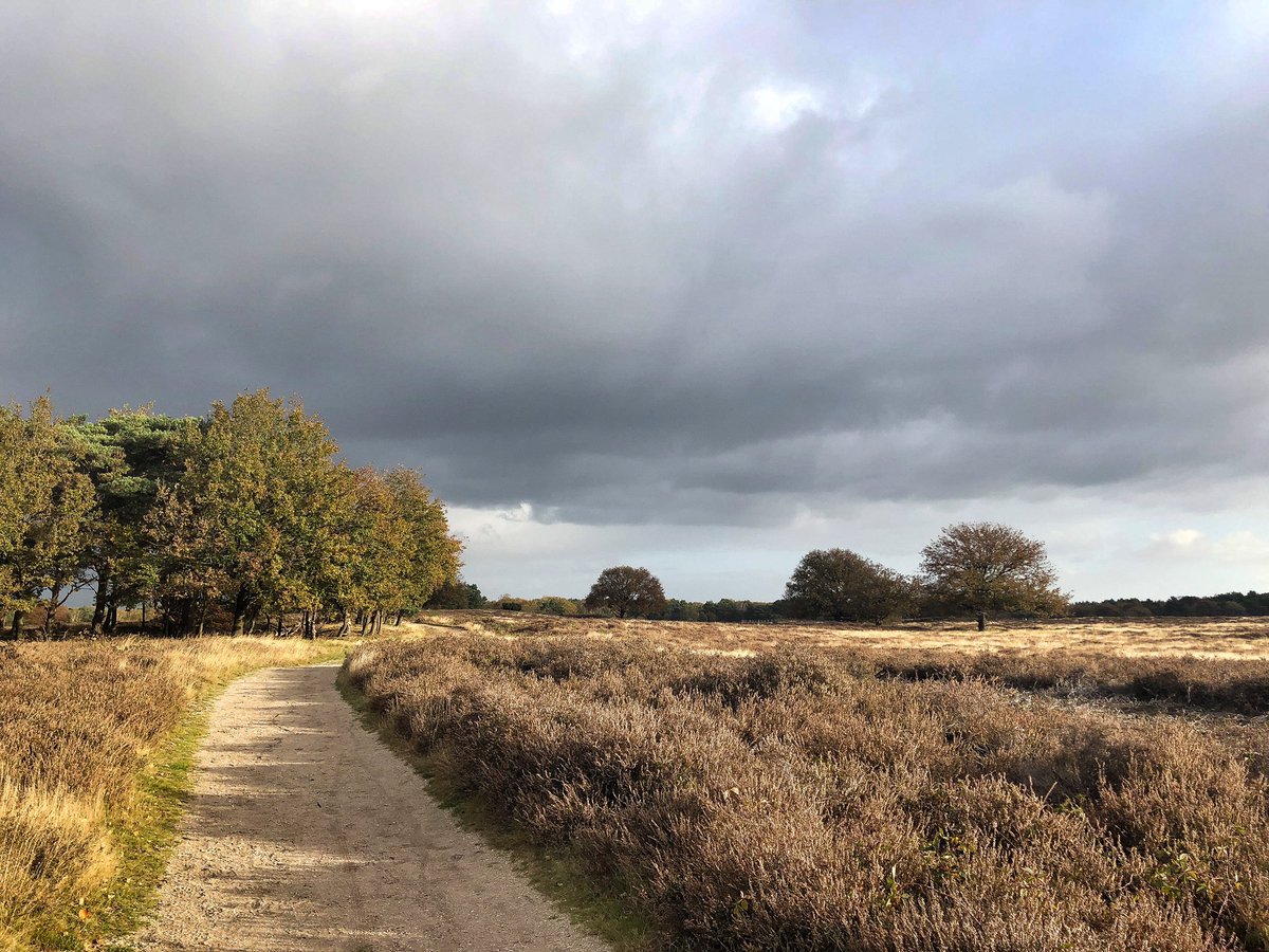 HenkBrandsma1's tweet image. Lekkere ochtendwandeling door #mooigooi onderwijl #podcast @StefanBolt @laurenstendam luisterend met als gast @FlorianVermeers. Mooie aflevering weer mannen!
- - - - - - - - - - - - - - - -
“Live Slow Walk Fast(er) version of #LSRF” (strava.app.link/7Dj2BkQjZkb) 🚶🏼‍♂️#zondag #strava