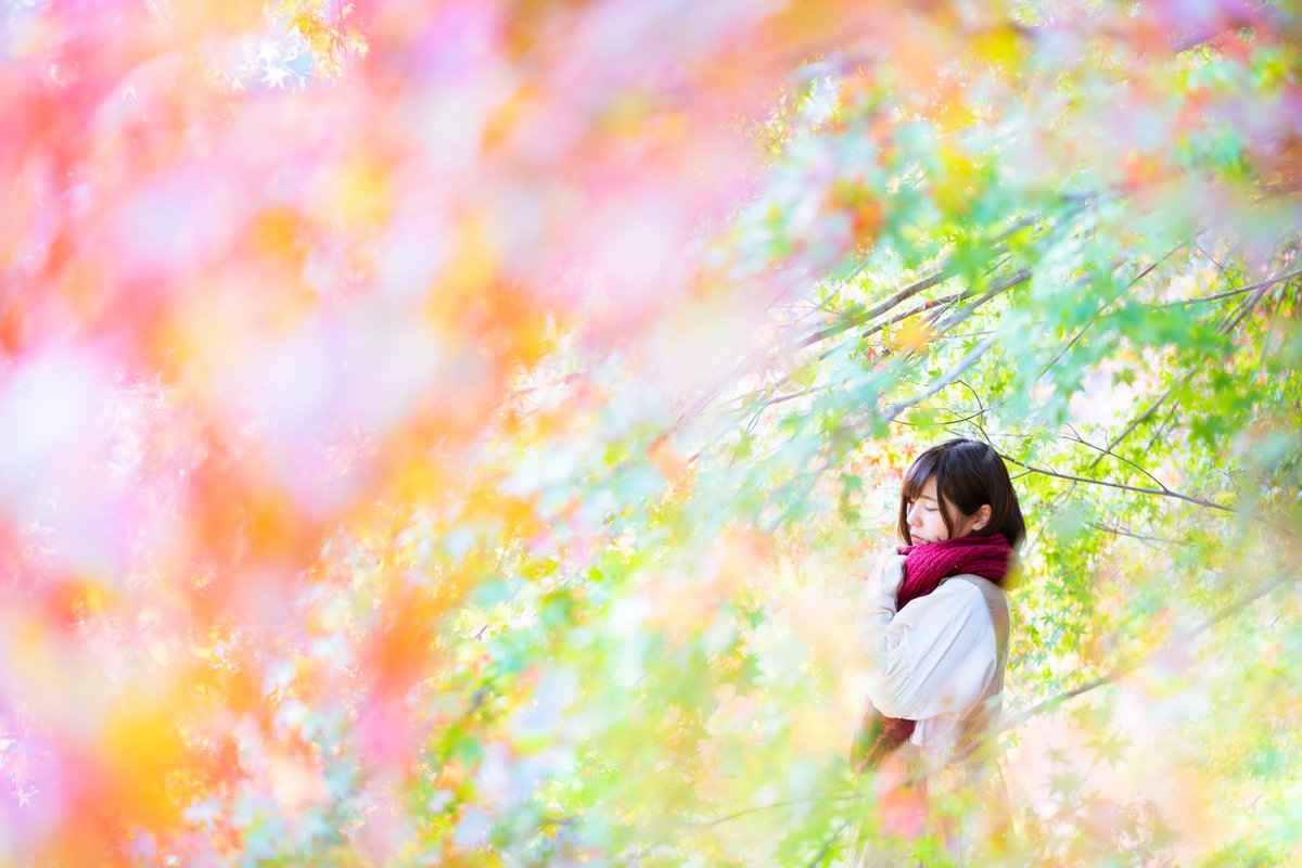 Hiromichi モデル募集 11 13または14に撮影可能な方を募集します それ以外の平日はご相談ください 朝早くても大丈夫な方大歓迎 秋色いっぱいの明るい写真と トンネルで暗い雰囲気の写真を撮影予定です 有償のモデルさんももちろんokですので Hiromichi モデル募集 11 13または14に撮影可能な方を募集します それ以外の平日はご相談ください 朝早くても大丈夫な方大歓迎 秋色いっぱいの明るい写真と トンネルで暗い雰囲気の写真を撮影予定です 有償のモデルさんももちろんokですので