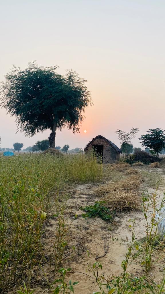 major_pawan's tweet photo. Khet and sunset 
🙌 https://t.co/arXrXzb75u
