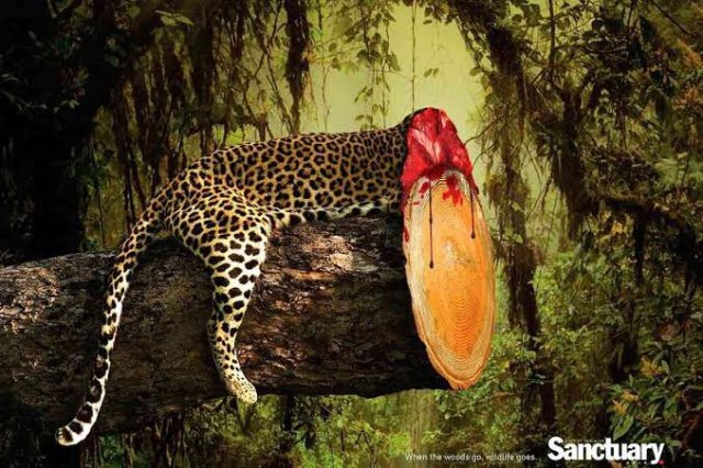 BravoMilagro1's tweet photo. Si on veut vraiment arrêter la déforestation, il faut arrêter d'acheter les produits qui en découlent ! #Boycottez les produits de la déforestation !
#Boycottez pour es forêts, la faune et les peuples autochtones ! https://t.co/TfbQJlOWIm