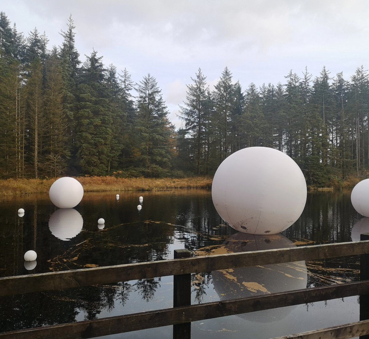 hastone47's tweet photo. Thanks to all those who came to the launch of @rougeit beautiful installation Intrastellar last night. It is now open during the day. Please ask at the visitor information desk for directions. @grizedale.forest @forestryengland #forestartworks https://t.co/RcyZKnfhOE