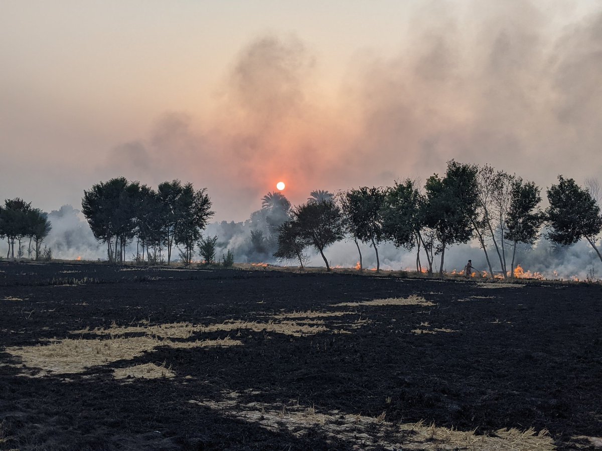abudaoud1402's tweet photo. Is there anyone awake? @PakPMO @ImranKhanPTI @ClimateChangePK @zartajgulwazir @UsmanAKBuzdar   #ClimateJustice #ClimateChage #smog #Punjab #Pakistan https://t.co/j6wWL1Buu1