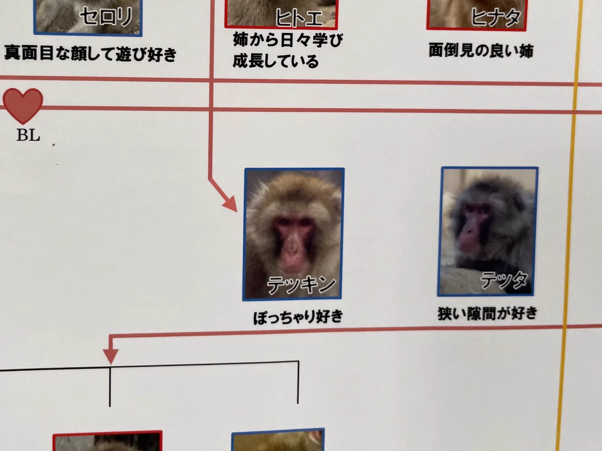 ZOOライダー on X: 