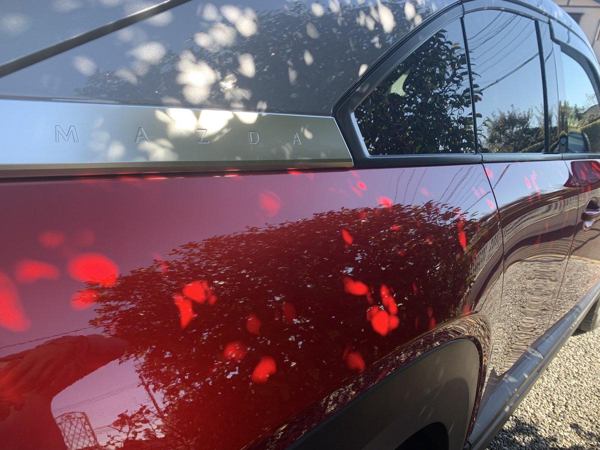 teru_shining's tweet photo. 木漏れ日とMX30。
映えすぎ問題。

#mx30
#mazdamx30
#madza https://t.co/BEBr23ym7B