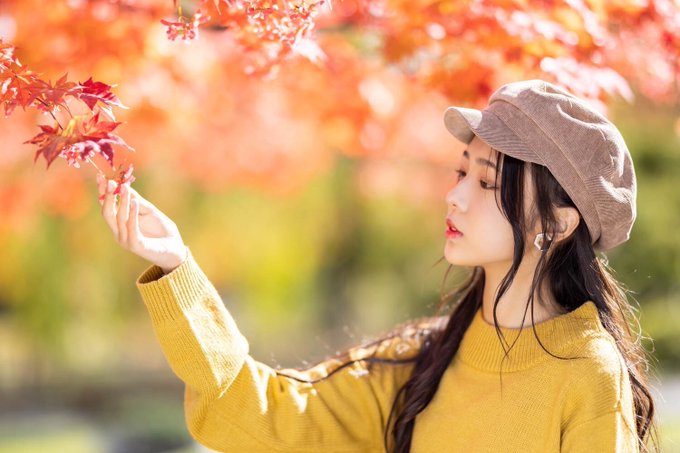 noaのTwitter画像2