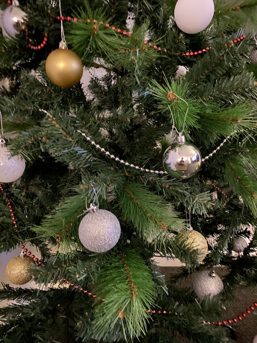 RadioVoice_'s tweet photo. Why not??? 🌲 #christmastree https://t.co/dBYhwpFuxx