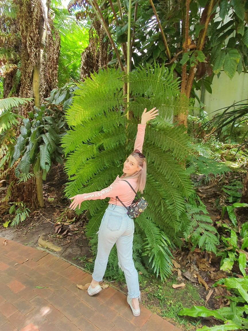_MissTea2_'s tweet photo. MrTea and I went to Adelaide Botanic Garden today and it was just beautiful. Big leaves everywhere https://t.co/UjsAXn3yRm