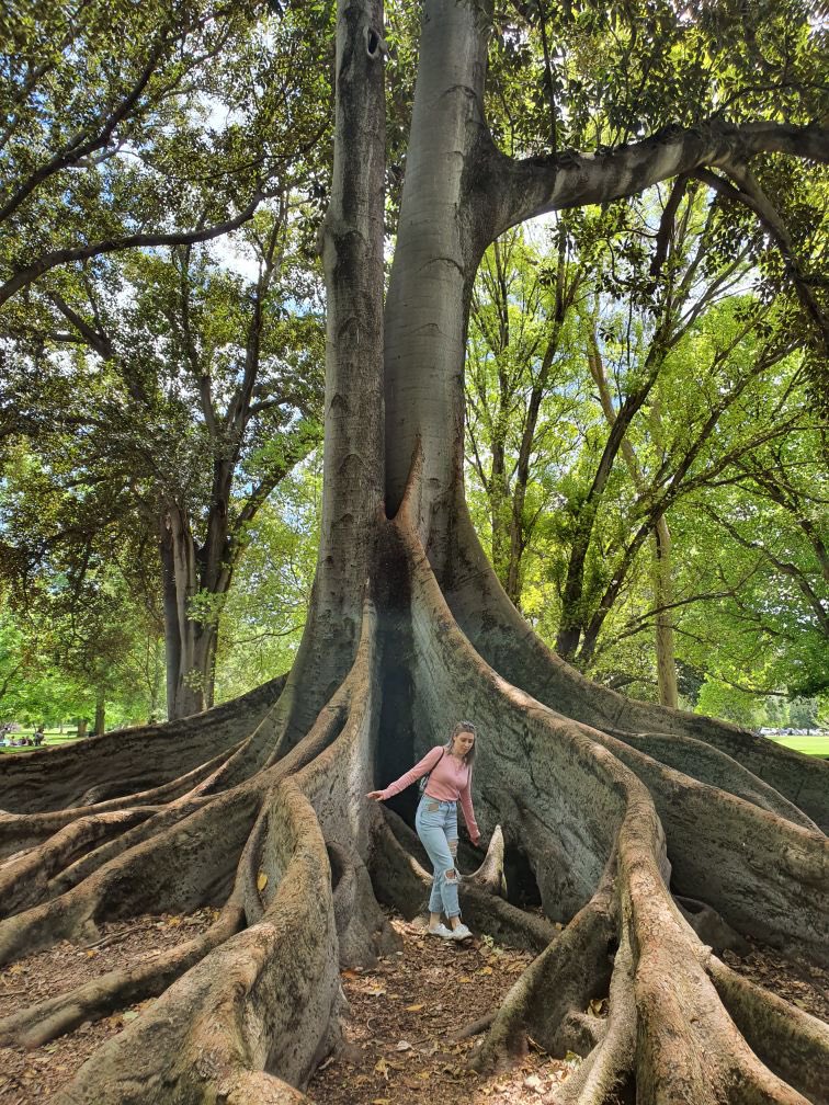 _MissTea2_'s tweet photo. MrTea and I went to Adelaide Botanic Garden today and it was just beautiful. Big leaves everywhere https://t.co/UjsAXn3yRm