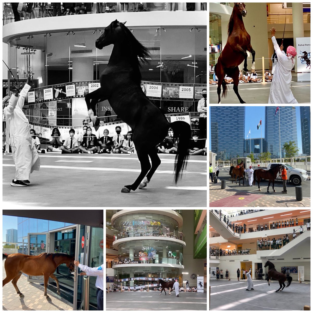 Principal | Repton Abu Dhabi tweet media