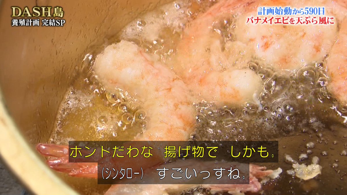 Dash島エビ養殖プロジェクト500日ついに完結 140トンのへドロをかき出し 風車で海水を汲み上げ続け育てたバナメイエビが立派に成長 鉄腕dash 4ページ目 Togetter Dash島エビ養殖プロジェクト500日ついに完結 140トンのへドロをかき出し 風車で海水を汲み上げ続け育てたバナメイエビが立派に成長 鉄腕dash 4ページ目 Togetter