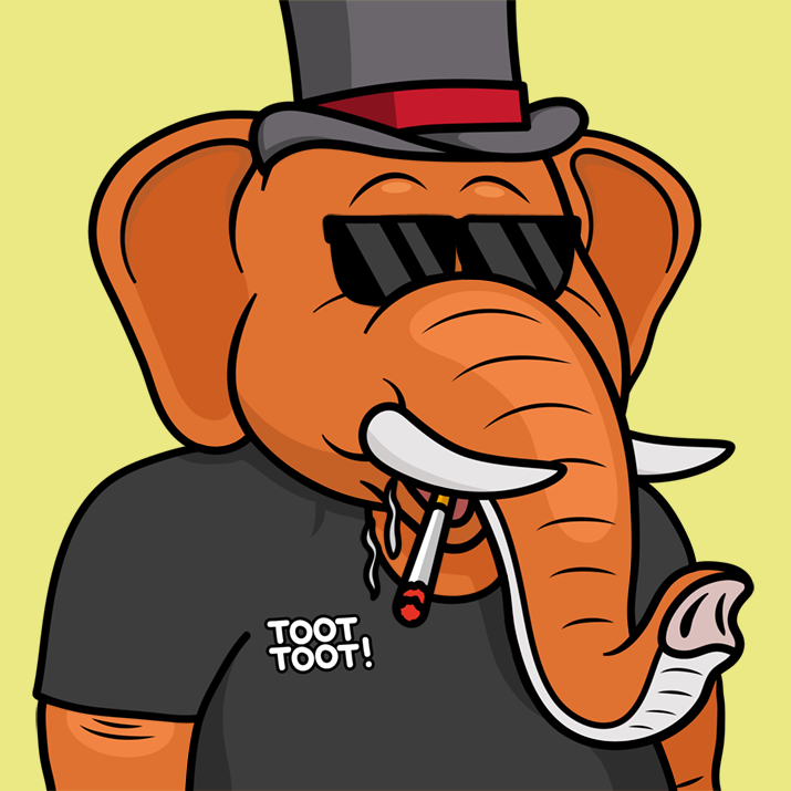 aaronalbertm's tweet photo. Bought my first NFTs!!!!!!! @solephants  TOOT TOOT 🐘🐘🐘🐘 https://t.co/whiYGuDC7y
