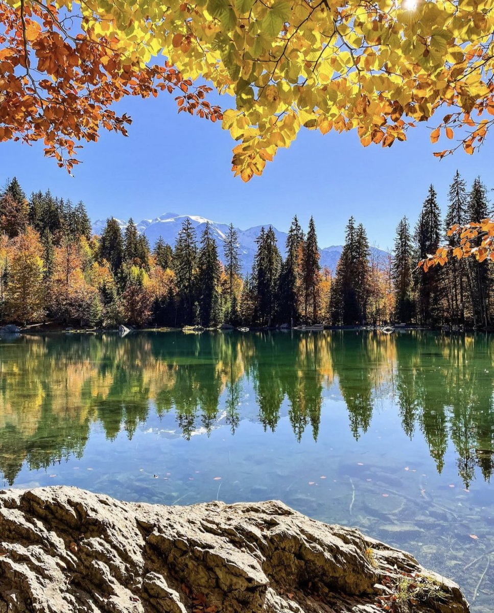 📸swll.to/n4rSHhI

Le lac vert de Passy en Haute-Savoie paré des couleurs d'automne 🍁 Des paysages comme ça on ne s'en lasse pas 😍
.
Ça nous donne des envies de randonnées 🥾🎒 Pas vous ?
.
#NaturellesAventures