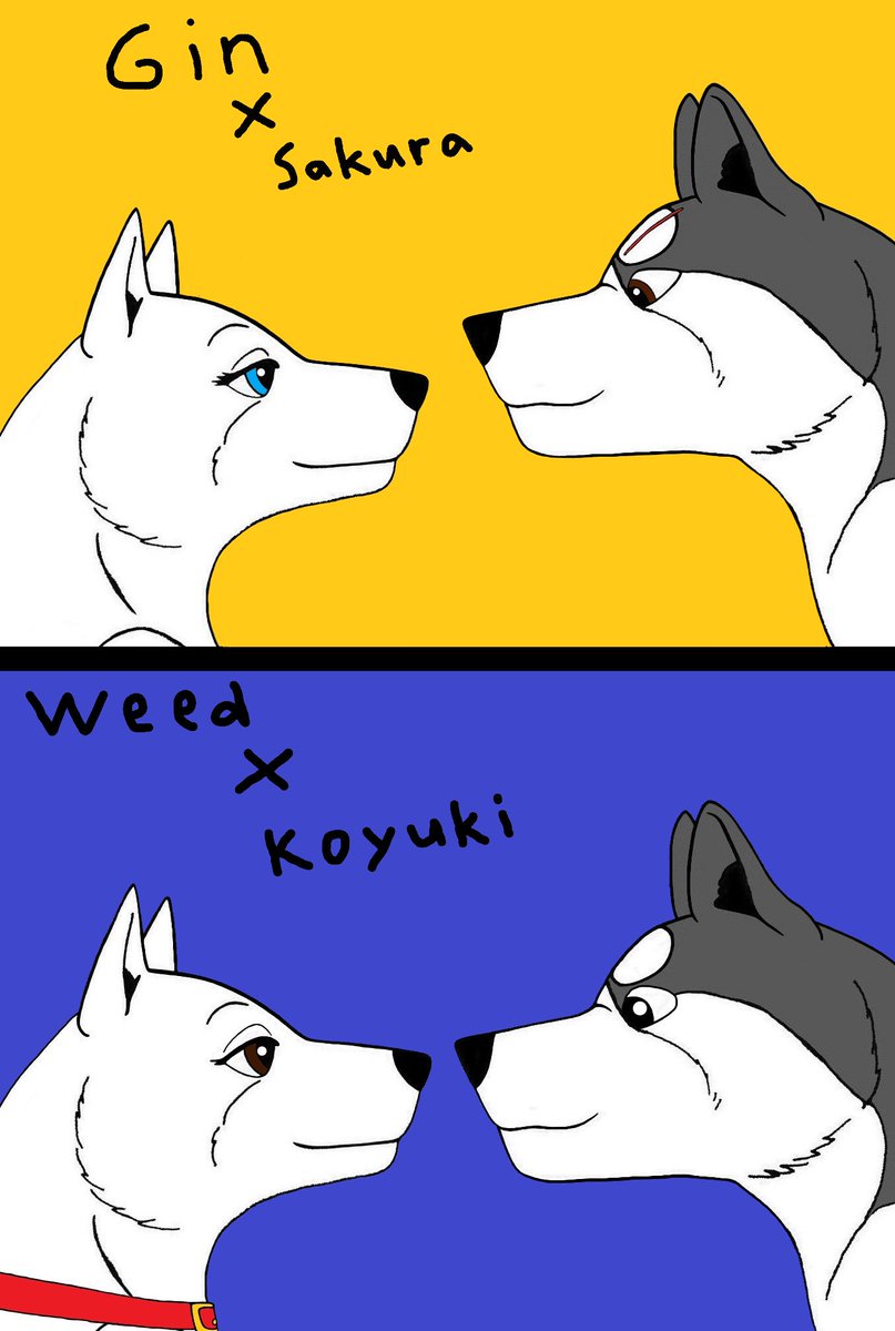 The Ou-Leaders Wives #ginga_densetsu_weed #Gin #Weed