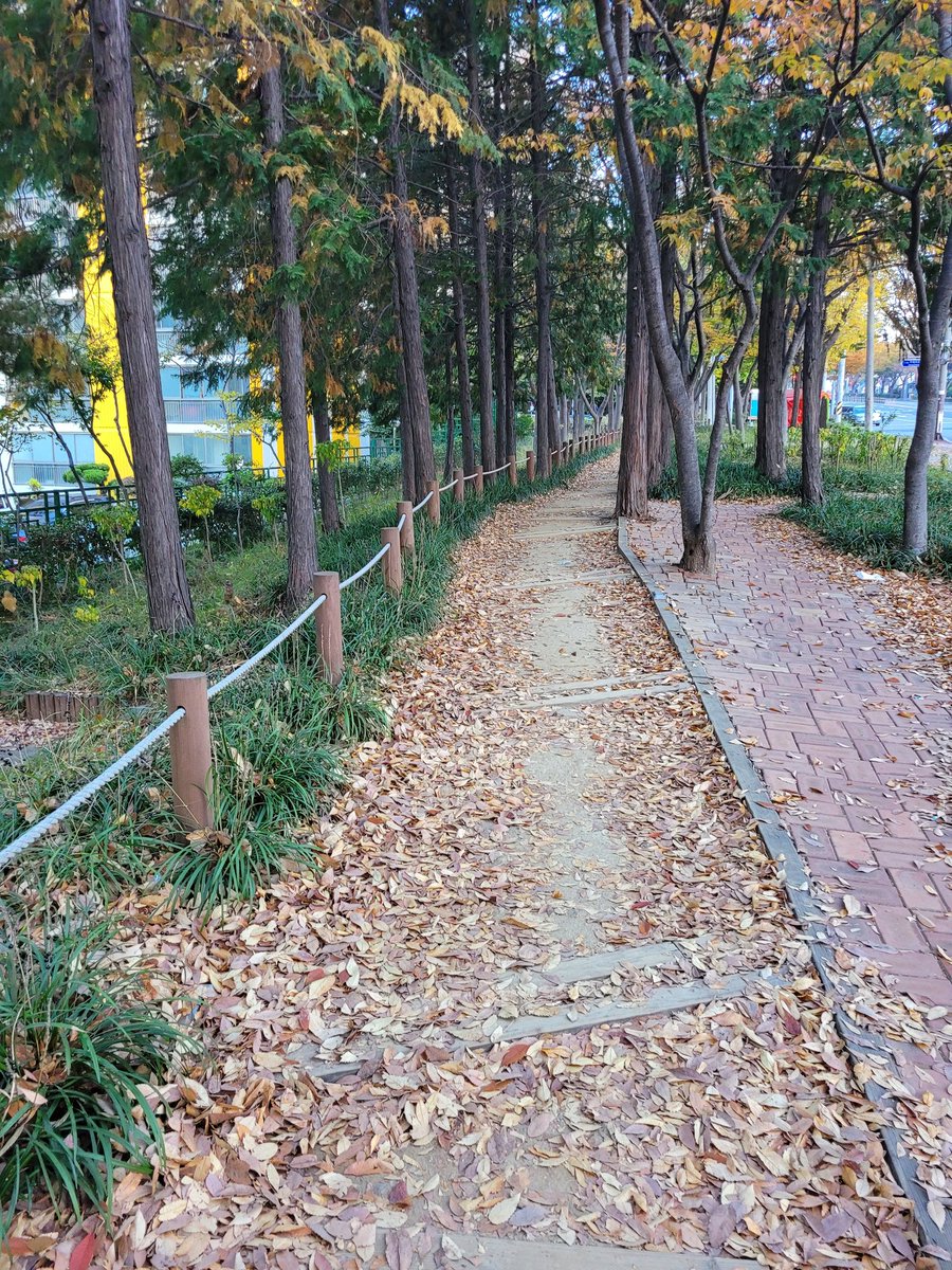 scc5900's tweet photo. https://t.co/gnl4IAa1JI