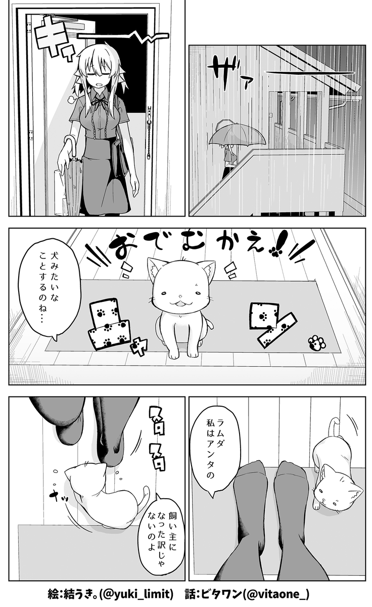 (2/6) 