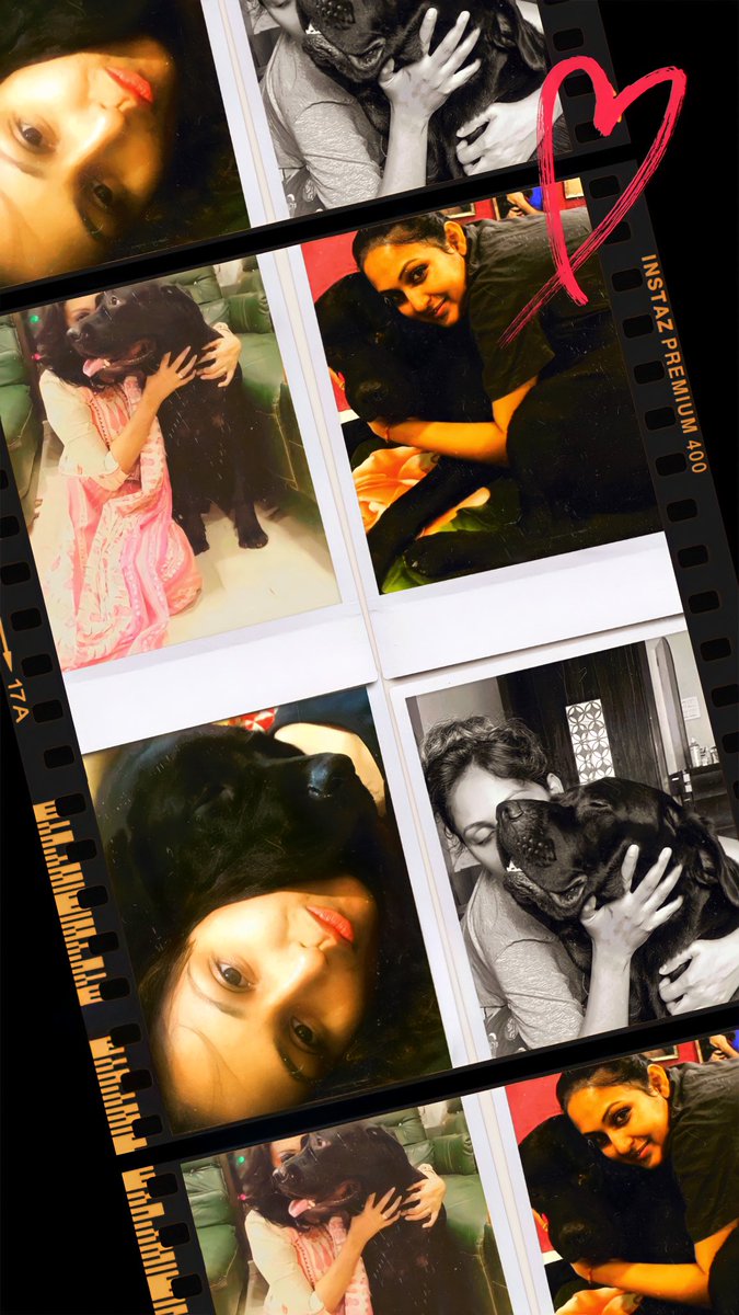 AshishAdmirers's tweet photo. What a day! A double celebration. My wish for you is that you get all of your birthday wishes 🎂🎂🤗🤗 God bless @archanataide #Kranti
You own our hearts😘😘❤️❤️
#archu #archanabirthday #krantibirthday #royalprince #gentlegiant #krantibaba #shonadoll #innocentbeast #perfectwoman https://t.co/nZfEADm1jP