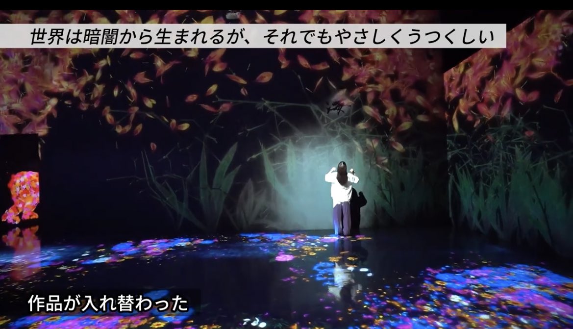 jirojiro301's tweet photo. 【お台場 チームラボボーダレス】話題のNo.1映えスポットに行って写真撮影してきました！ 
#東由樹の「#はっぴーるーむ」 https://t.co/BdhIBbgmKf @YouTubeより

#チームラボボーダレス
#tL_Borderless 

幻想的な世界へようこそ！ https://t.co/p8PjTLxdRa