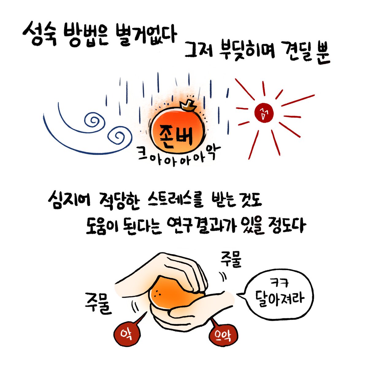 Ms_Tangerine_'s tweet photo. 🍊 썩장인 간단 세계관

썩어가는 직장인 귤씨는 컷팅되지 않고 건강한 어른이 될 수 있을까요? 귤씨를 지켜봐 주세요!

#썩장인 https://t.co/zTbnJDDU6g