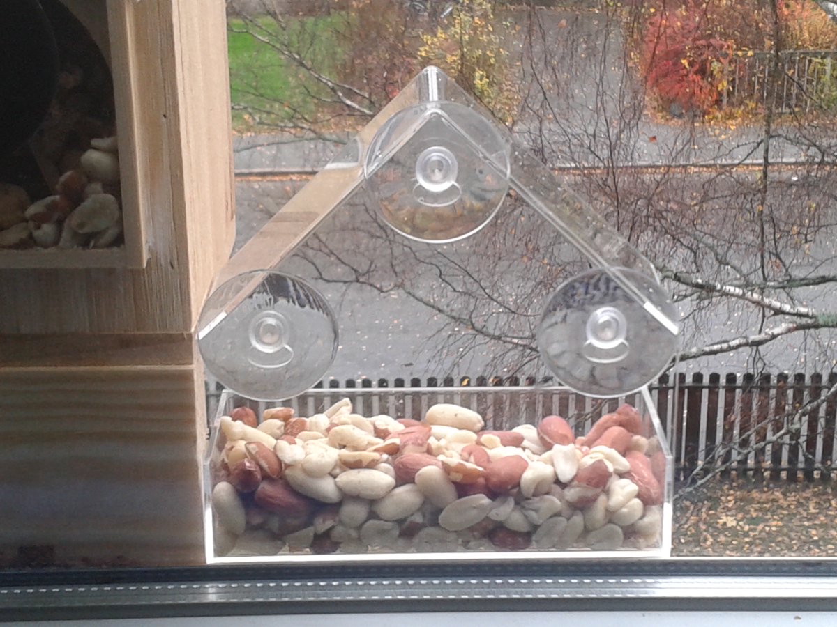 LarssssBe's tweet photo. Bird-feeder V³
Not just #WindowSquirrels https://t.co/aicyyI4PLx