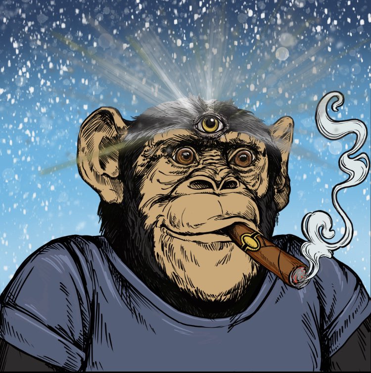 alex69brc's tweet image. Started my day with another purchase from @PrimatesSociety  and this dude is really clean af! Get your while you can!
#silverback #silvertoken #silverbackbreeding