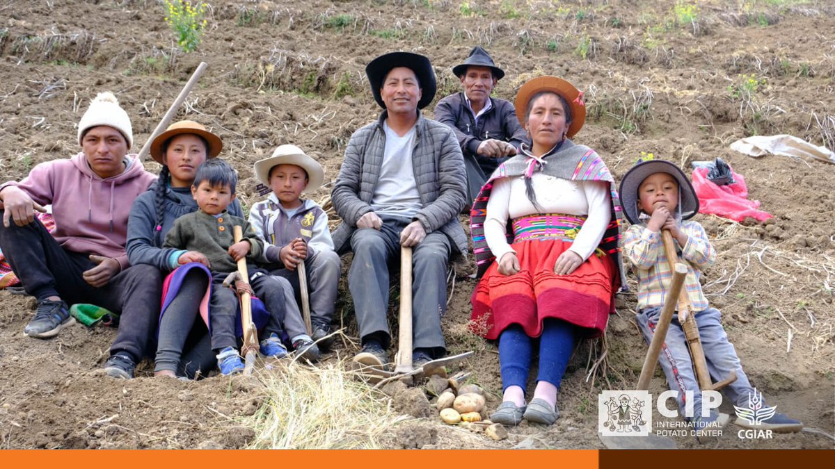Cipotato's tweet photo. “We need to explore more food options. Humanity today relies on 12 plants and five animal species to provide 75% of its food,” according to @FAO. This situation is not sustainable but a solution is in our grasp… 

👉🏽 https://t.co/hSrgmgoMPR

🔸 @cgiar

#CGIAR4Climate #OneCGIAR https://t.co/4zGRfwWFPU