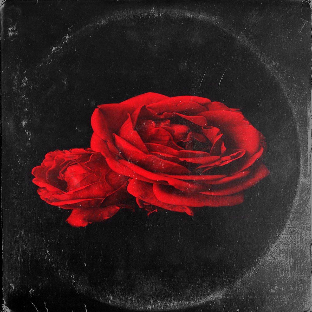 JhinBeats's tweet photo. My newest track - roses drops on all streaming services on the 14th.... presave it via link in bio
#lofibeats #lofimusic #ldre #lofi #lofihiphop #presave #music #amuse #distrokid #jhinbeats #hiphop #spotifyartist https://t.co/1HGP4x40Qn