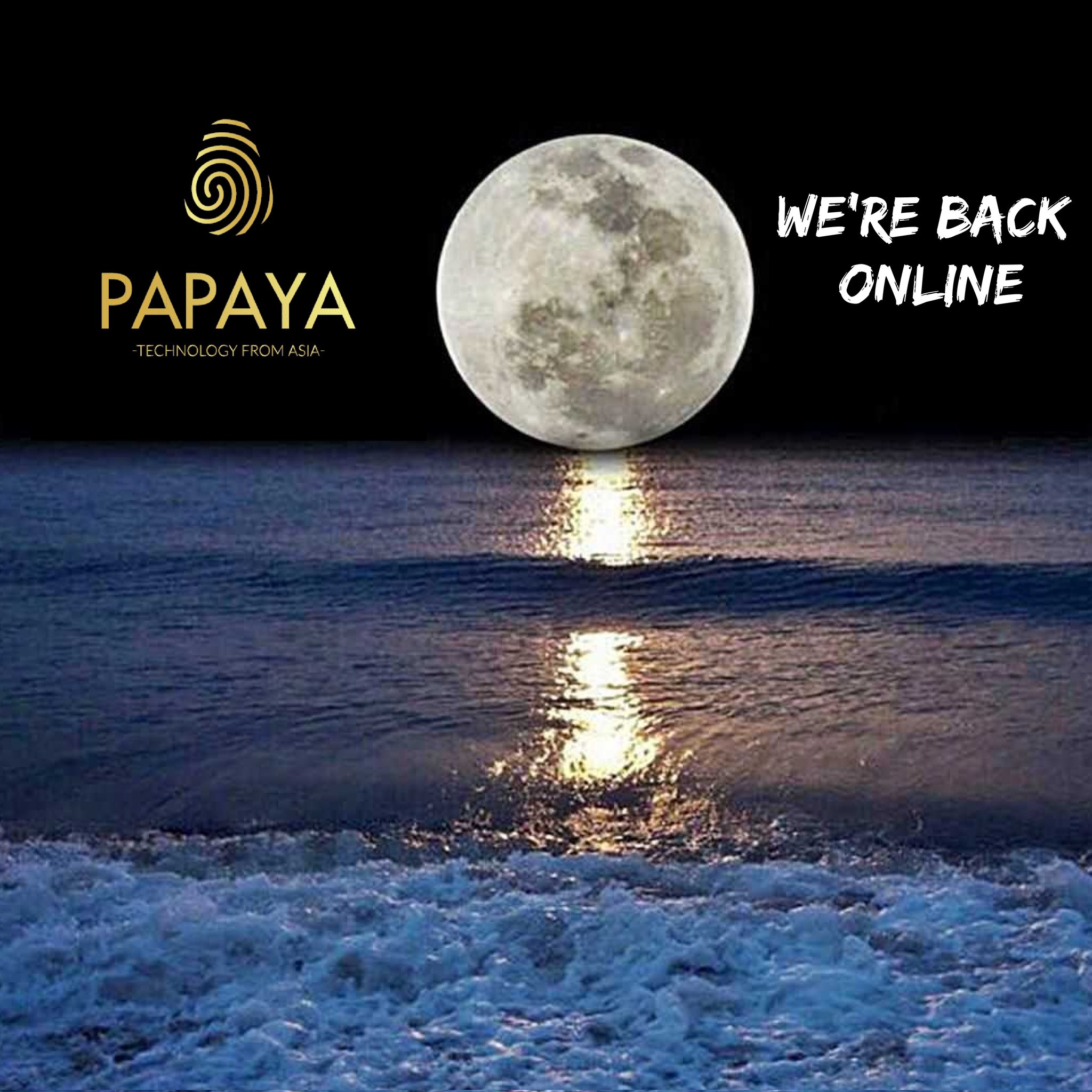 Papaya Exchange (PapayaExchange) / Twitter