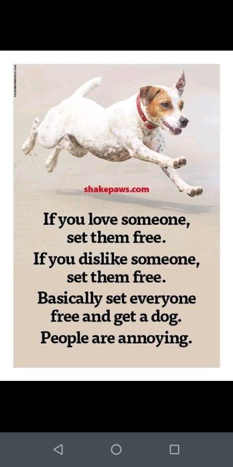 SCDRFundraisers's tweet photo. 🐶♥️ Sunday thoughts 🐶♥️ https://t.co/IqnJ6Fxzjw
