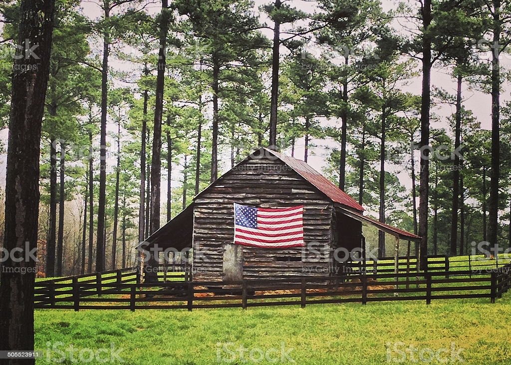 I pledge allegiance to the flag of the United States of America and to the Republic for which it stands, one nation under God, indivisible, with liberty and justice for all