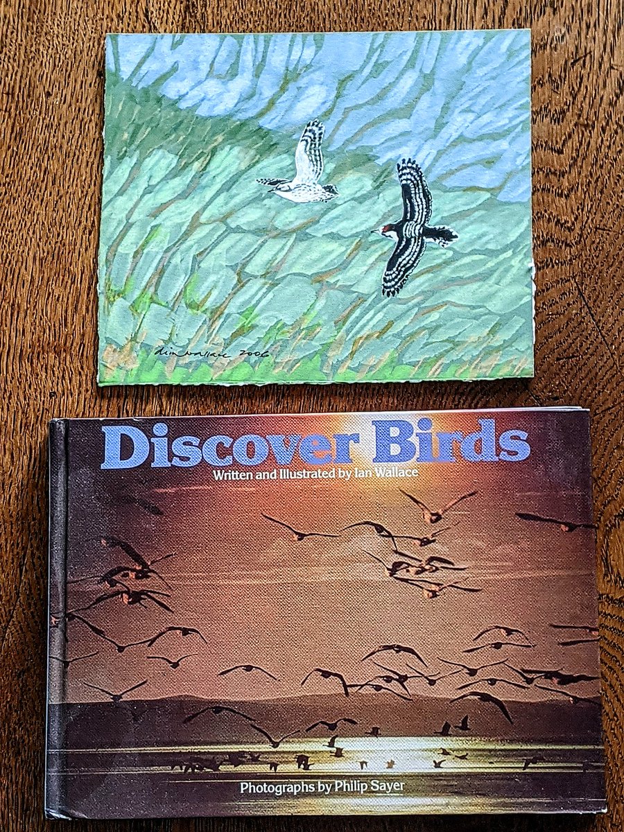 Mightychub's tweet photo. Sad to hear that the master of fieldcraft #DIMW has died. He enabled many people  to discover birds &amp; push the boundaries of field  identification #Localpatcher #Migrationwatcher #Birder #Artist I treasure my LSW artwork he did.#BirdinPeace https://t.co/25oqEWxiHM