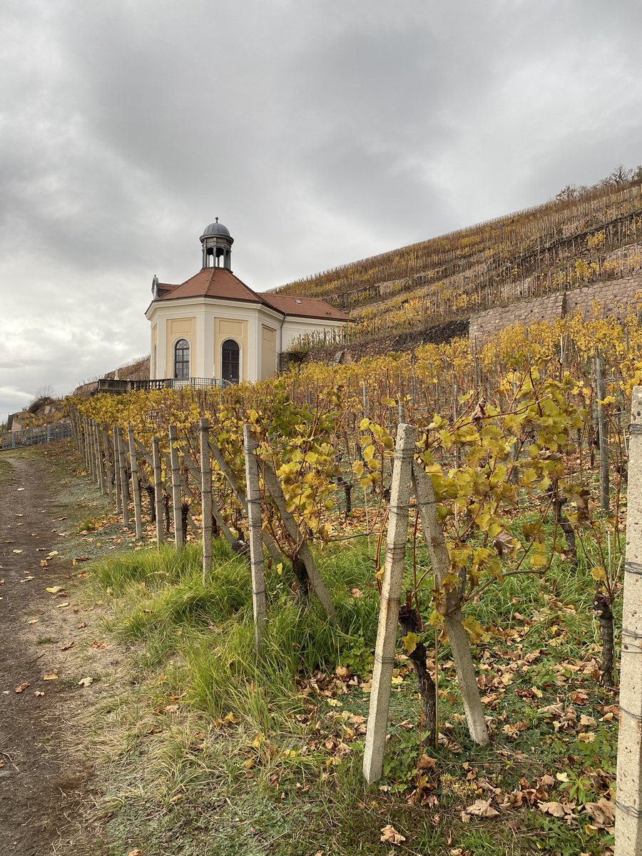 _PrivatePress's tweet photo. Ausflug zum Weingut Schloss #Wackerbarth. https://t.co/93Et1HJGZM