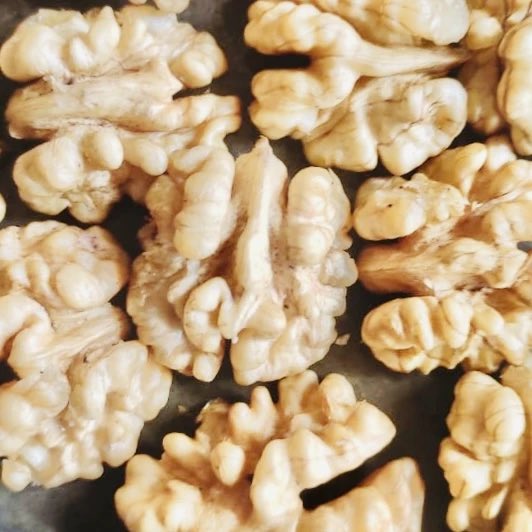 tariqtramboo's tweet photo. Your tongue can hurt after eating walnuts, not because walnuts or nuts are “Gharam" -:)  but because proteins present in them closely resemble plant (weed) pollen. They trigger histamine release which in turn causes your tongue to tingle. Don’t stop eating nuts because of this. https://t.co/LYHEnZrVgT