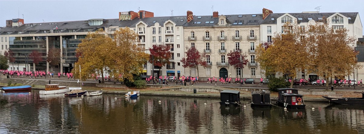 _R_F_'s tweet photo. Une belle marée rose ce matin dans la Cité des Ducs et au bord de l'Erdre pour les 🔟km @ODYSSEA_fr Nantes, avec les collègues de @SuravenirASSUR ! 🏃🏻 https://t.co/7vMvSZzbge
