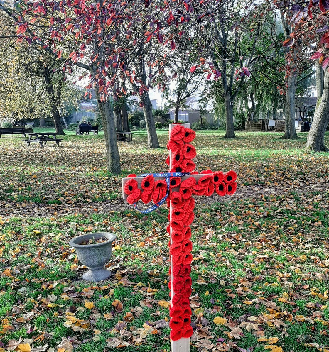 FiltonFerver's tweet image. Pic of the day. Poppies up and ready for Armistice ceremony at 11 on 11th in #FiltonCommunityGarden facebook.com/57622470574344… @britishlegion @CharboroughRd  @filtonhillpri @sgs_college