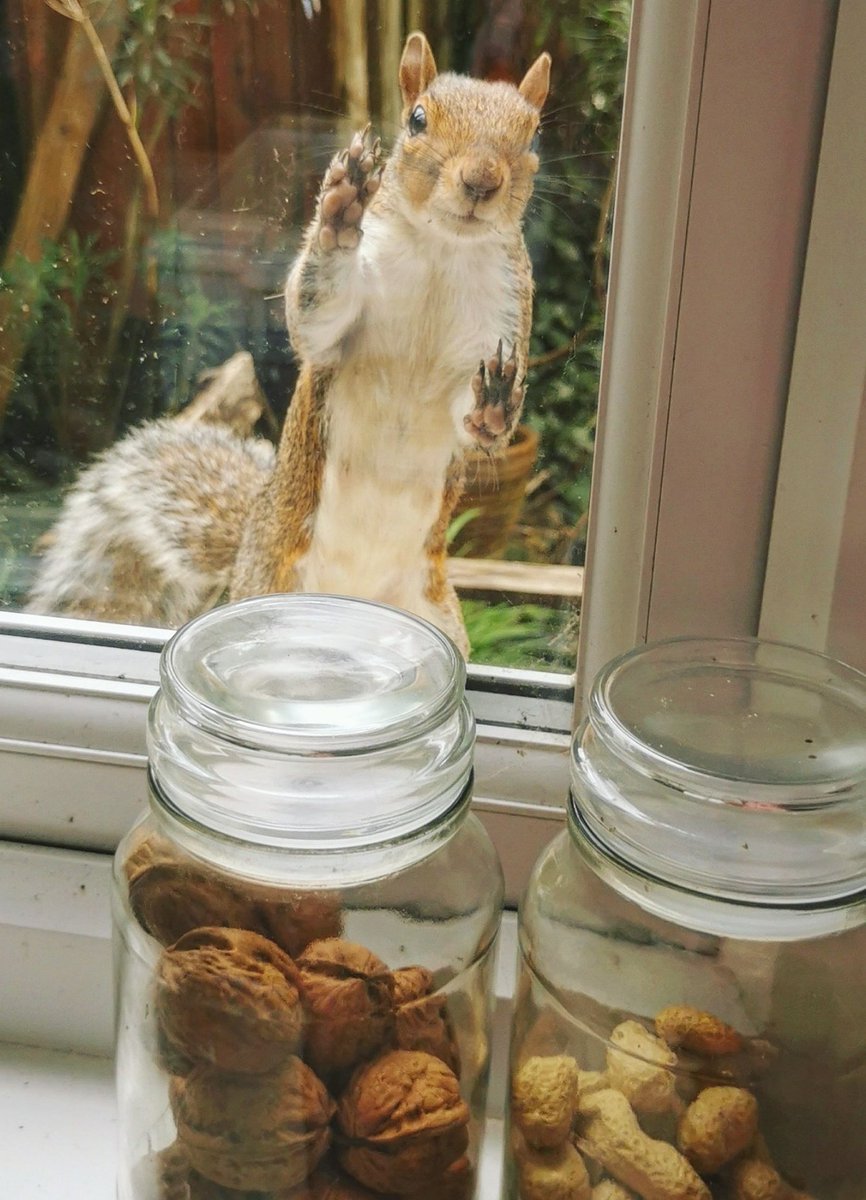 Amanda Ochampaugh tweet media