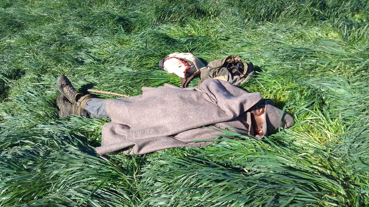 I després quan perd les ovelles tot és culpa de la cadellota xermelluda, sats????? 
#PastorotDimissió