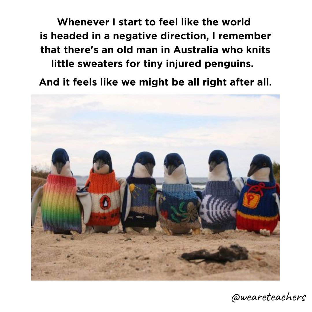 WeAreTeachers's tweet photo. https://t.co/Q7bb2qpEho